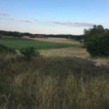 Restaurang Särimner Mat