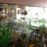 Foodie Neo Asian Gourmet Kitchen Mat