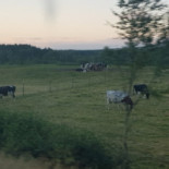 Träslottet Utomhus