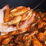 Skanörs Fiskrögeri Ab Mat