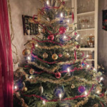 Lyckans Guesthouse Mat