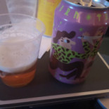 Scandinavian Airlines Flight Sk1129 Mat