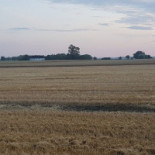 Han Paa Hoernet Mat