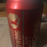 Ölanda Flygplats Mat