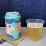 (sk) Scandinavian Airlines 159 Mat