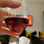 Svenska Kyrkans Soppkök Mat