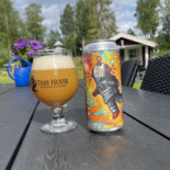 Torsby Airport (torsby Flygplats) Mat