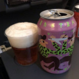 (sk) Scandinavian Airlines Mat