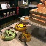 Steinbrenner Nyberg Mat