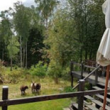 Kvarnen Kornhult Utomhus