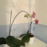 East Asian Restaurang Utomhus