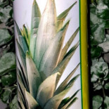 Askimsgrillen Inomhus