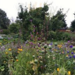 Kosters Tradgardar Cafe Mat