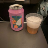 Scandinavian Flight Sk 19. Luleå-arlanda Mat