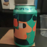 Scandinavian Flight Sk 19. Luleå-arlanda Mat