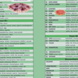 Viking Pizzeria Meny