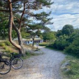 Kosters Tradgardar Cafe Utomhus