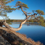 Storstugan Hellasgården Utomhus