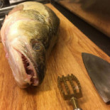 Rå Epok Sushi På Skånska Mat