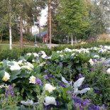 Restaurang Sjoesidan Utomhus