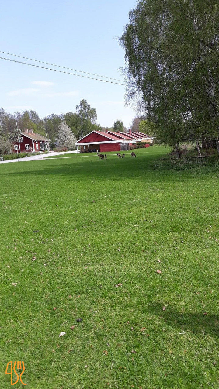 Brevensgården Hotell Och Restaurang Utomhus