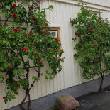 Märtas Mat Och Catering Utomhus