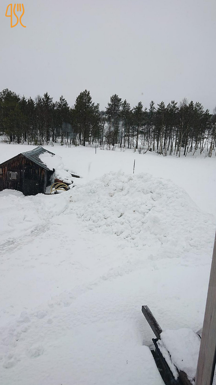 Restaurang Fjällbjörken Utomhus