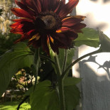 Solsta Towers Utomhus