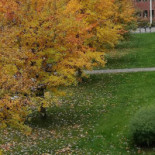 Pizzeria Torino Utomhus