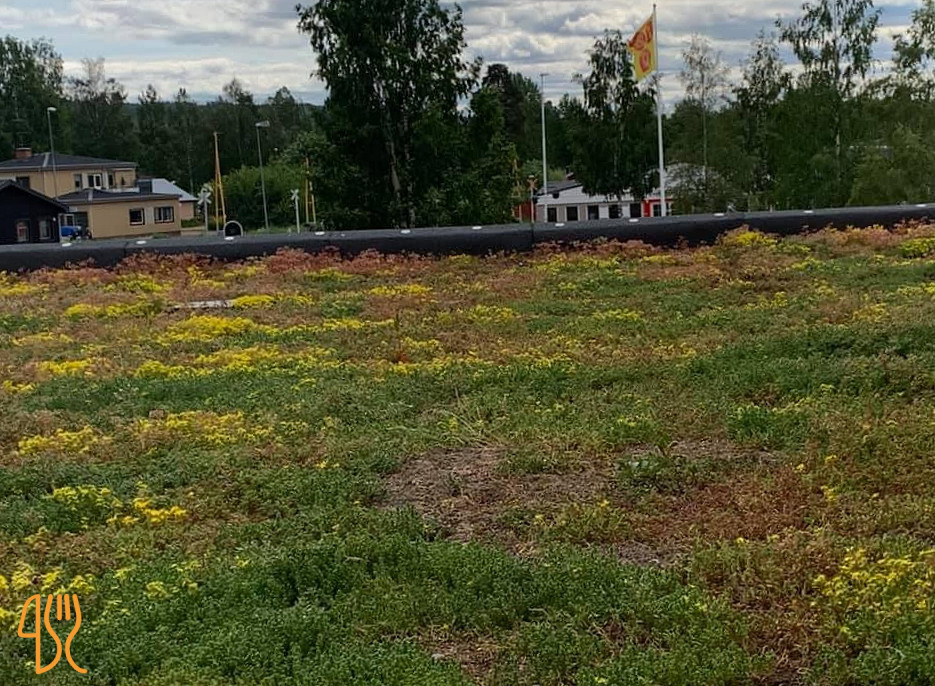 Orsa Järnvägshotell Utomhus