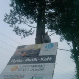 Lindshammar 2017 Utomhus