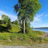 Filipsborgs Herrgård (filipsborg Ab) Utomhus