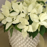 Trädgårdshotellet I Åtvidaberg Mat