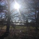 Trädgårdshotellet I Åtvidaberg Utomhus