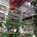 Café Voltaire Utomhus