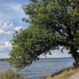 Skepparholmen Utomhus