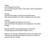 Pizzeria Babylon Meny