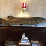 Hällsnäs Hotell Restaurang Inomhus