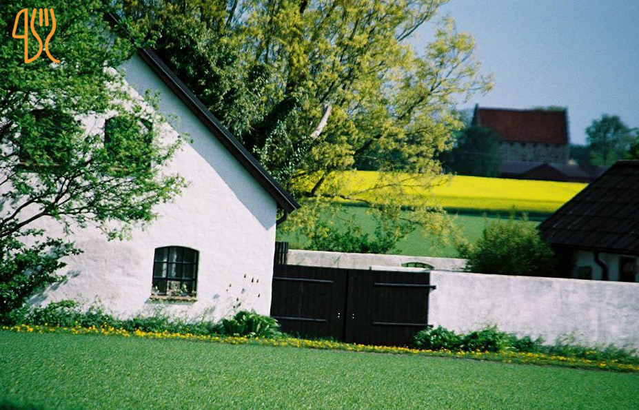 Traubgården Utomhus
