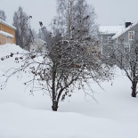 Bowlingen Sollefteå Utomhus