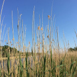 Vass Utomhus