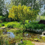 Freadals Trädgårdcafé Utomhus