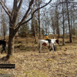 Sibylla Grums Utomhus