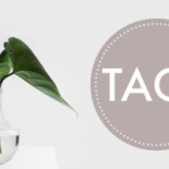 Tullen Kristet Center Meny