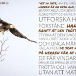 Tullen Kristet Center Meny