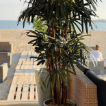 Strandbaren Åsa Vitasand Utomhus