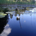 Eskilns Camping Utomhus