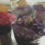 Kyrkmons Skolrestaurang Mat