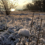 Picknickkorgen.se Utomhus