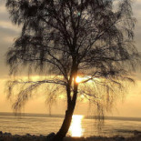 Picknickkorgen.se Utomhus